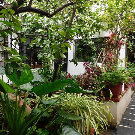 Maria Bonita By Rotamundos Hotel Taxco de Alarcon Exterior photo