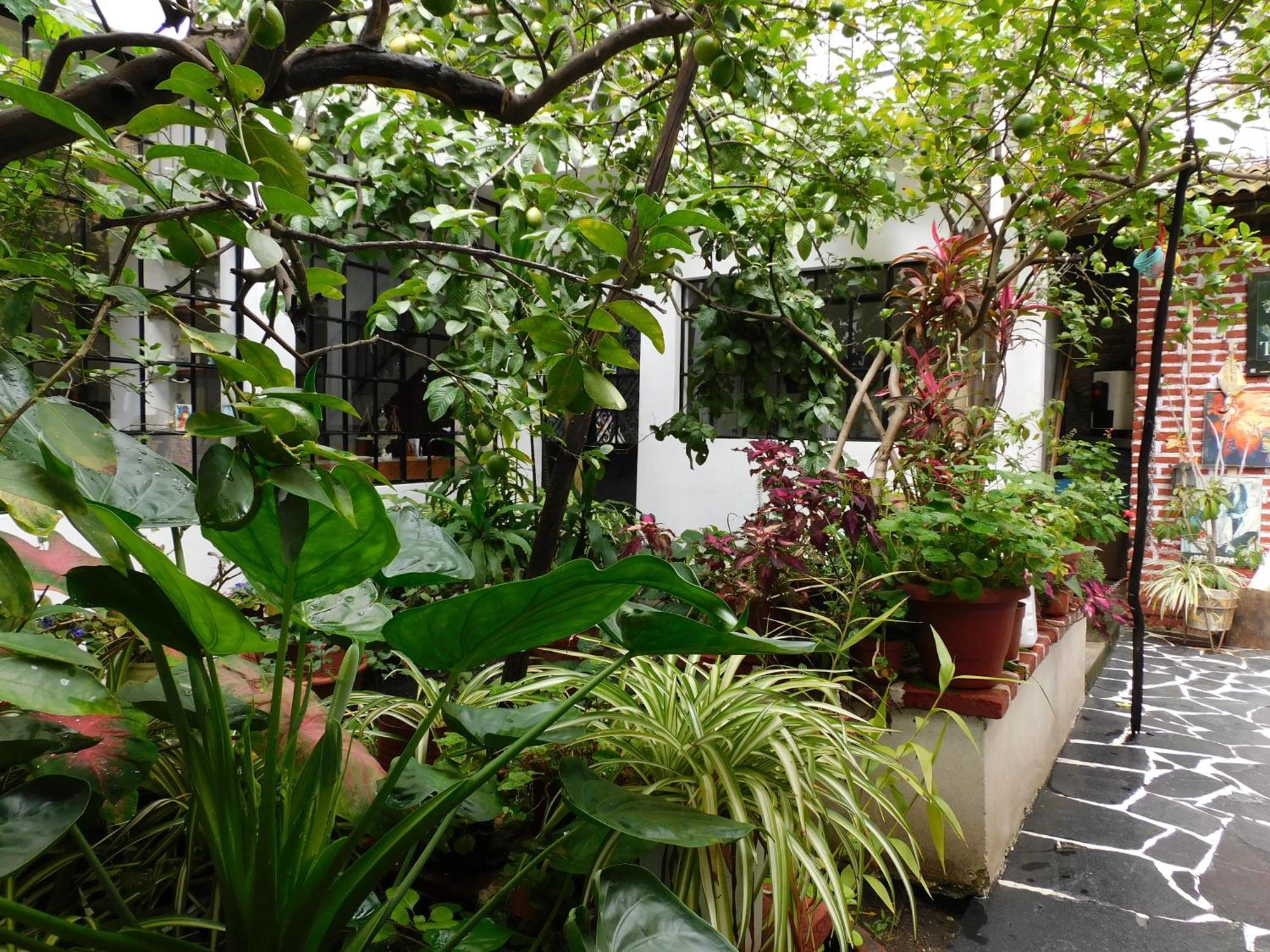 Maria Bonita By Rotamundos Hotel Taxco de Alarcon Exterior photo